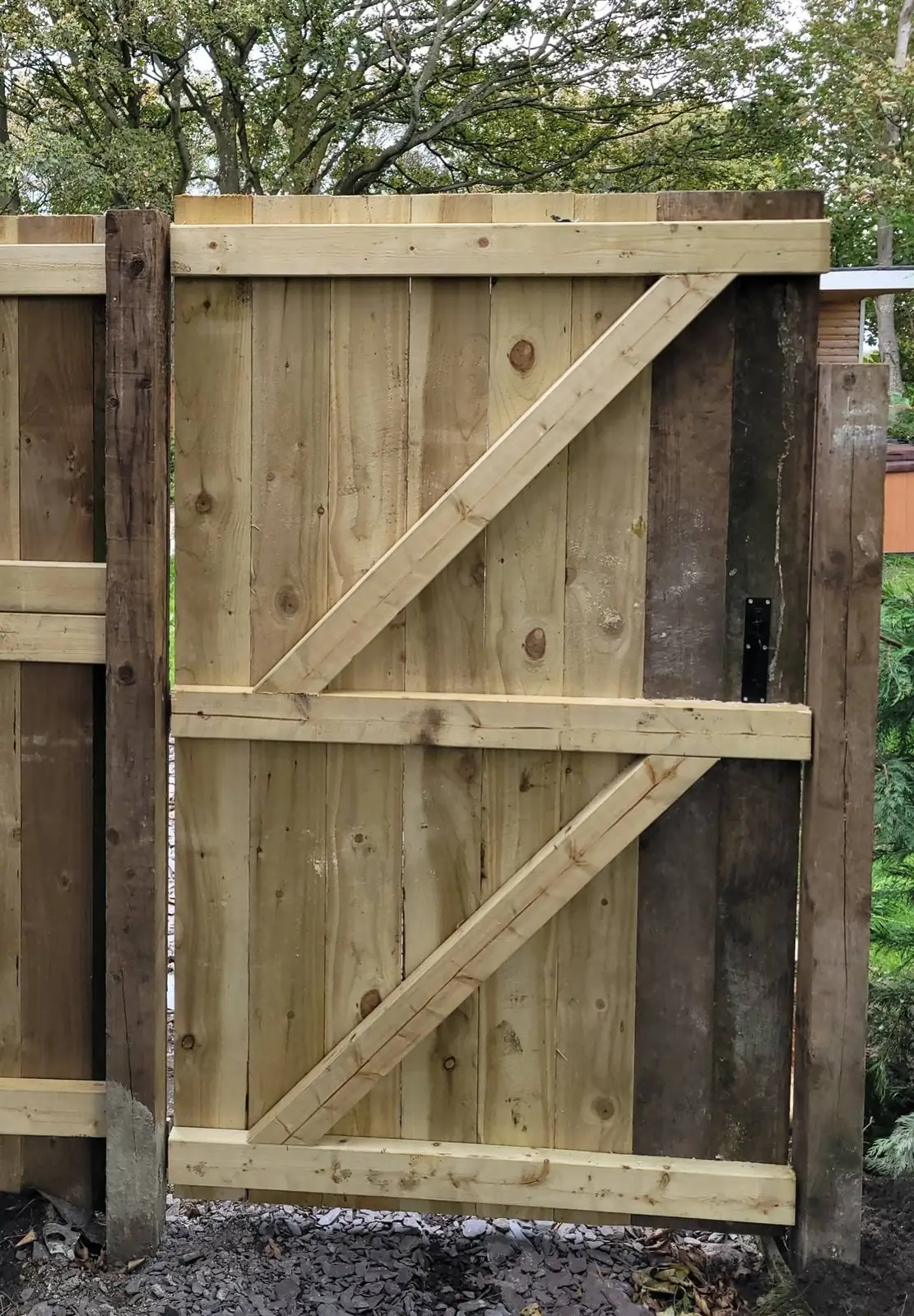 Hand-built timber gate with diagonal bracing, freshly installed in a pressure-treated softwood fence.
